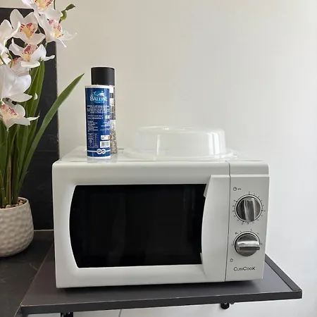 Charming Plant * Rouen